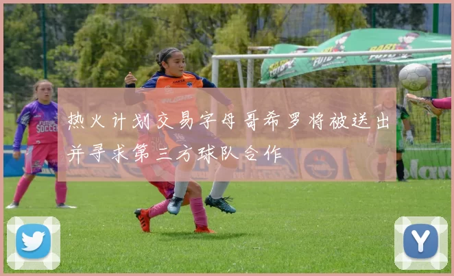 热火计划交易字母哥希罗将被送出并寻求第三方球队合作